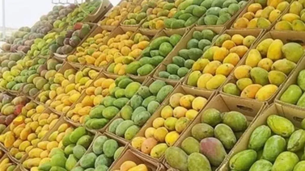 تخزين المانجا