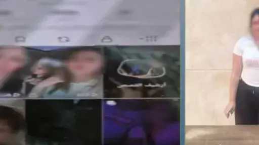 ضبط صانعة محتوى بعين شمس بتهمة نشر مقاطع خادشة للحياء لزيادة المشاهدات ضبط صانعة محتوى بعين شمس بتهمة نشر مقاطع خادشة للحياء لزيادة المشاهدات
