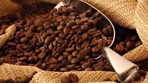 سعر كيلو البن اليوم.. السادة 520 جنيهًا والمحوج يصل إلى 680 جنيهًا سعر كيلو البن اليوم.. السادة 520 جنيهًا والمحوج يصل إلى 680 جنيهًا