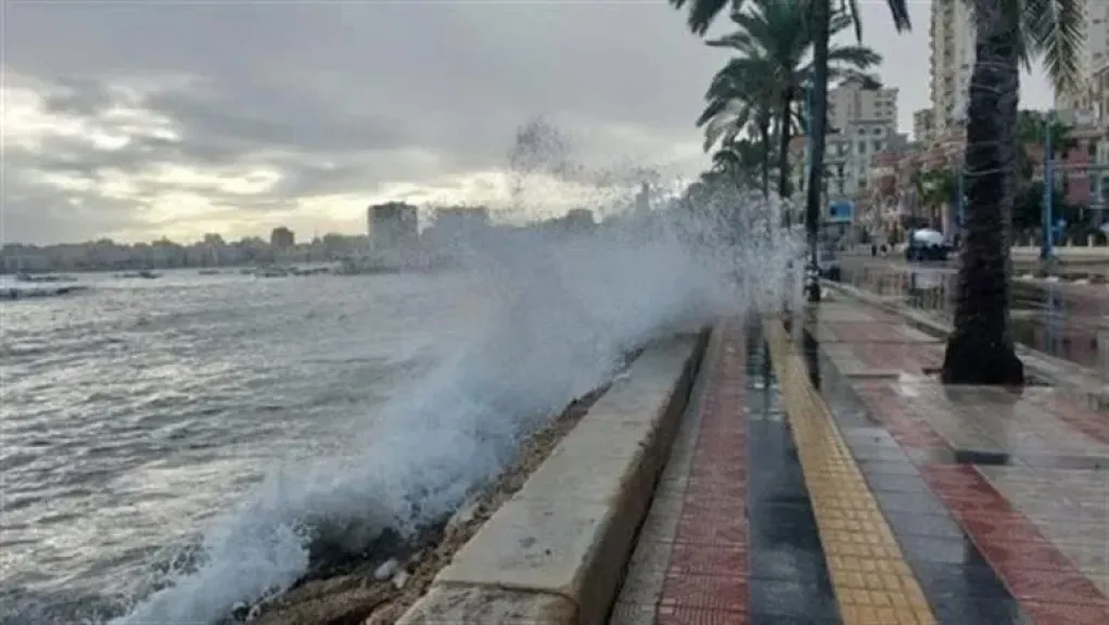نوات الإسكندرية