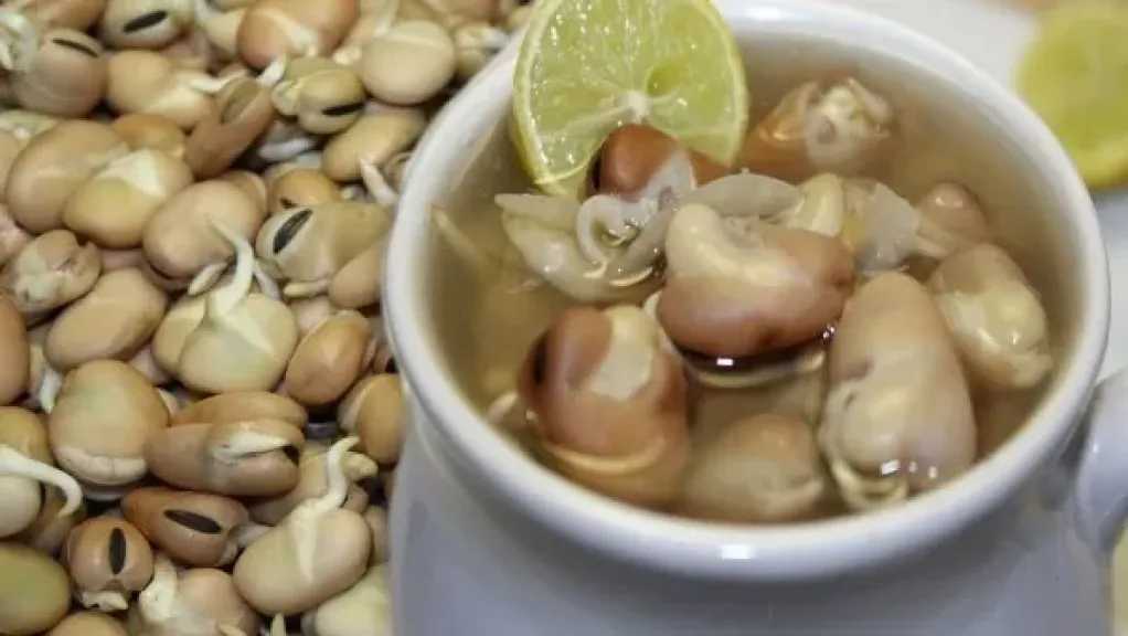 طريقة عمل شوربة الفول النابت.. وصفة دافئة وسهلة