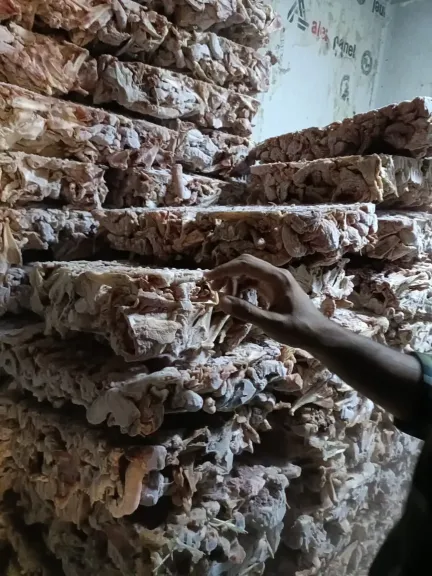 المضبوطات