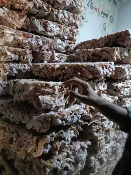 قبل ترويجها.. ضبط 70 طن أغذية فاسدة في حملات رقابية بالجيزة