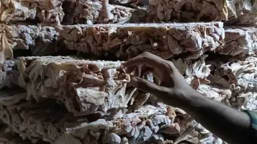 قبل ترويجها.. ضبط 70 طن أغذية فاسدة في حملات رقابية بالجيزة
