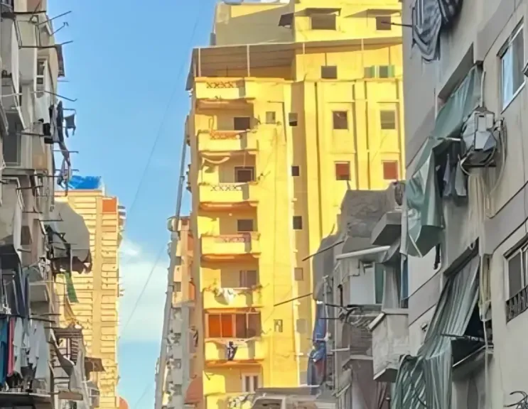 عقار بدر الجمال