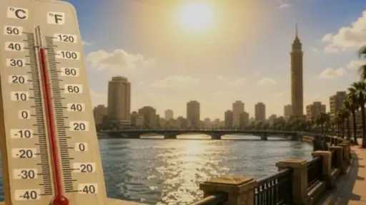 طقس اليوم في مصر: شبورة كثيفة وأمطار رعدية و37 درجة في جنوب... طقس اليوم في مصر: شبورة كثيفة وأمطار رعدية و37 درجة في جنوب الصعيد