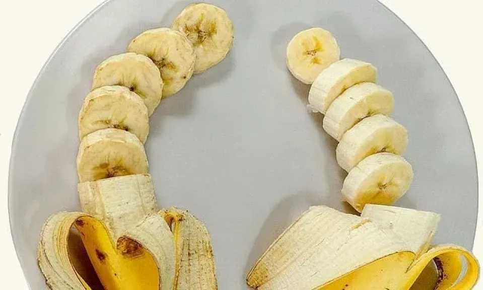 موز لا يتحول إلى اللون البني بعد تقطيعه.. علماء يطورون صنفًا جديدًا بتقنية تحرير الجينات