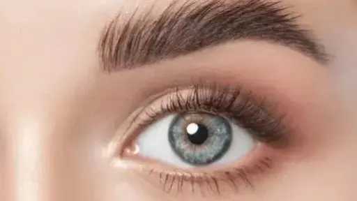 3 وصفات طبيعية لتكثيف الحواجب في المنزل.. زيت الخروع والصبار أبرزها 3 وصفات طبيعية لتكثيف الحواجب في المنزل.. زيت الخروع والصبار أبرزها