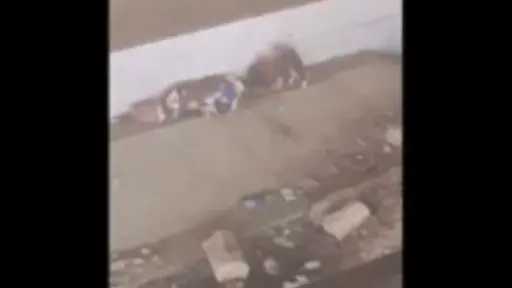 ضبط شخص وسيدة بالقاهرة بعد تداول فيديو يتهمهما بتعاطي مواد مخدرة في... ضبط شخص وسيدة بالقاهرة بعد تداول فيديو يتهمهما بتعاطي مواد مخدرة في الشارع