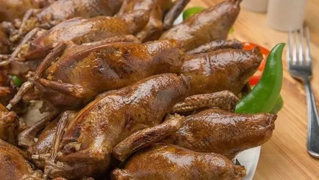 لحم الحمام