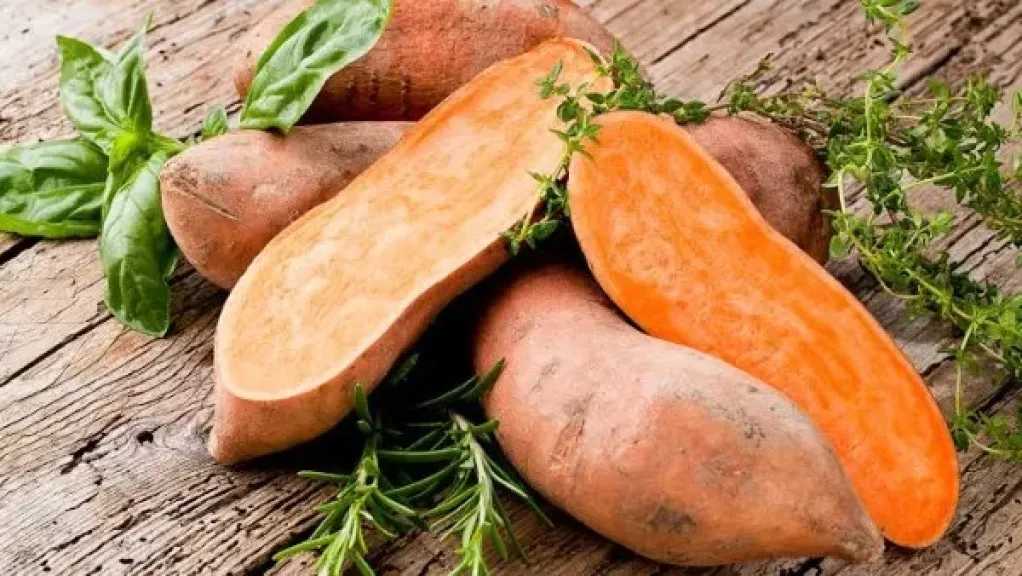 ماذا يحدث لجسمك عند تناول البطاطا الحلوة بانتظام؟.. فوائد مهمة للعين والمناعة والهضم