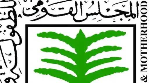 القومي للطفولة والأمومة يشارك في اجتماعات اللجنة الأفريقية لحقوق الطفل ويناقش التقرير المصري