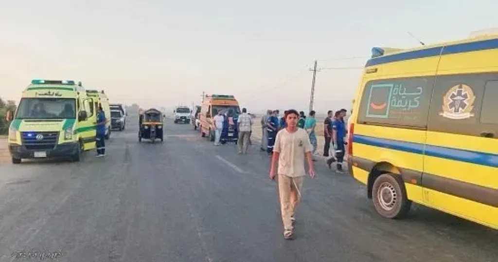 لحظة رعب في الشارع.. كلب ضال يعقر سيدة في 6 أكتوبر ونقلها للمستشفى