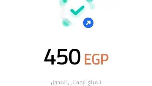 طريقة استرجاع فلوس إنستاباي المحولة بالخطأ.. من البنك إلى القضاء