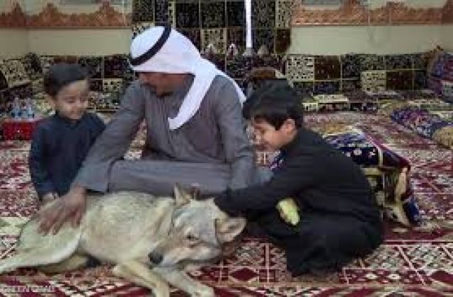 أنا حوا