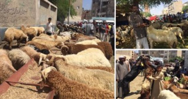 أنا حوا