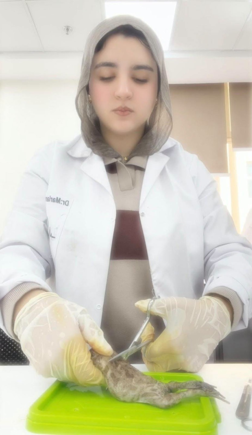 جامعة المنوفية الأهلية تركز على المهارات التطبيقية في تعليم الطب البيطري