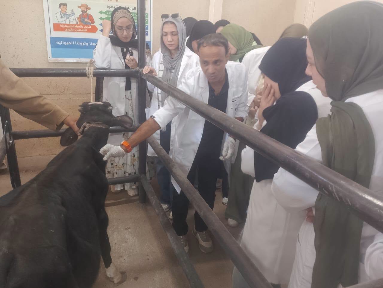 جامعة المنوفية الأهلية تركز على المهارات التطبيقية في تعليم الطب البيطري